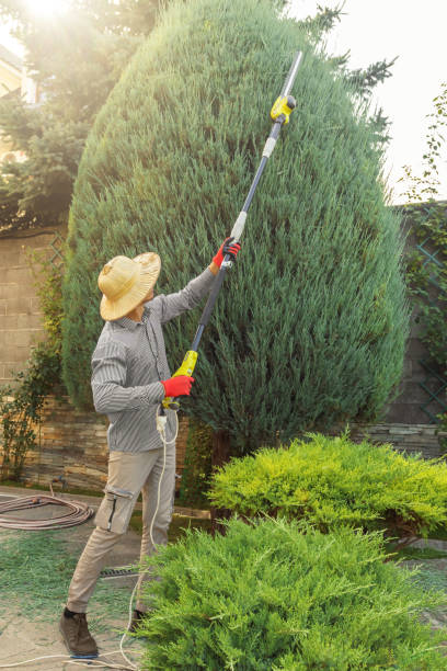 Emergency Storm Tree Removal in Hansen, ID